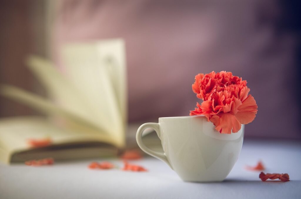 flower, red, peace, calm, relaxation, read, nature, time, calmness, silent, beautiful flowers, flower wallpaper, book, relax, pause, little cup, tea, romantic, vintage, morning, it's your time, cappuccino, coffee, flower background, breakfast